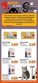Volantino Famila Superstore Pagina 5