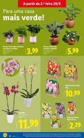 Folheto Lidl semana 40 Página 12