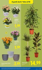 Folheto Lidl semana 40 Página 13
