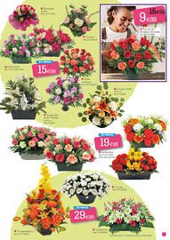 Catalogue Kandy page 7