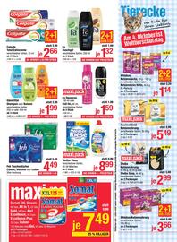 Maximarkt Flugblatt woche 40 Seite 13