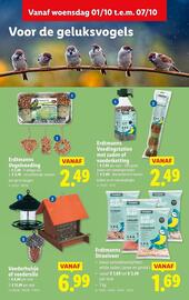 Lidl folder week 40 Pagina 42