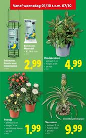 Lidl folder week 40 Pagina 43