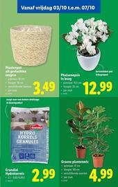 Lidl folder week 40 Pagina 61