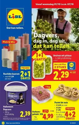 Lidl folder