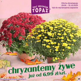 Topaz gazetka Strona 25