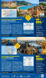 Lidl Flugblatt Seite 11