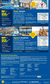 Lidl Flugblatt Seite 2