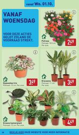 ALDI folder week 40 Pagina 38