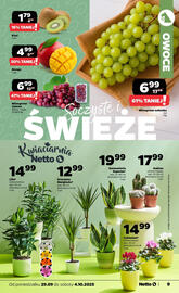 Netto gazetka tydzień 39 Strona 9