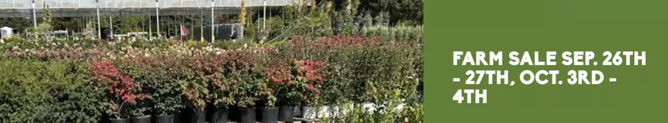 Sheridan Nurseries flyer (valid until 4-10)