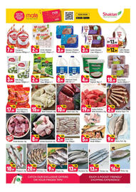 Shaklan leaflet Page 3