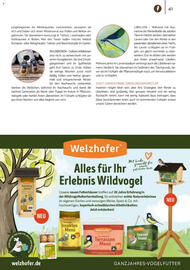 Zookauf Prospekt Seite 41