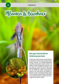 Zookauf Prospekt Seite 28