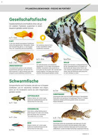 Zookauf Prospekt Seite 29