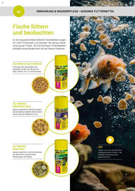 Zookauf Prospekt Seite 46