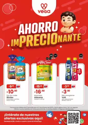 Catálogo Vega (válido hasta 12-10)
