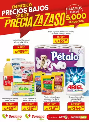 Catálogo Soriana Súper (válido hasta 15-10)