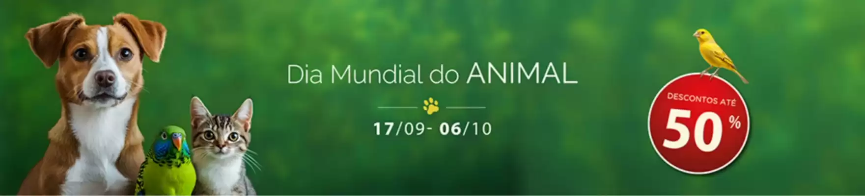 Folheto Apolónia (válido até 6-10)
