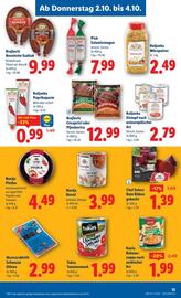 Lidl Flugblatt woche 40 Seite 16