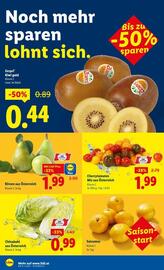 Lidl Flugblatt woche 40 Seite 37