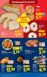 Lidl Flugblatt woche 40 Seite 37