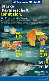 Lidl Flugblatt woche 40 Seite 8