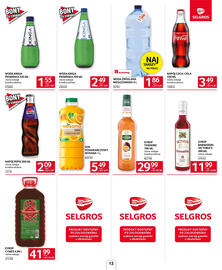 Selgros gazetka Strona 13