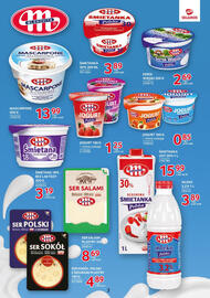 Selgros gazetka Strona 3