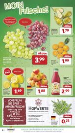 Famila Nord West Prospekt woche 40 Seite 4