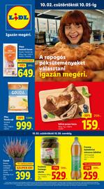 Lidl akciós újság hét 40 Oldal 1