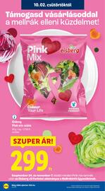 Lidl akciós újság hét 40 Oldal 2