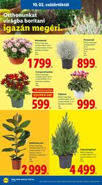 Lidl akciós újság hét 40 Oldal 26