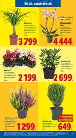 Lidl akciós újság hét 40 Oldal 27