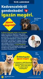 Lidl akciós újság hét 40 Oldal 28