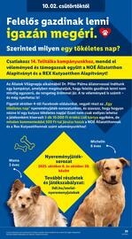 Lidl akciós újság hét 40 Oldal 29