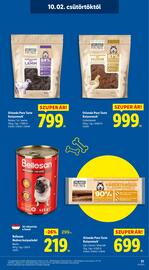 Lidl akciós újság hét 40 Oldal 31
