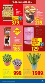 Lidl akciós újság hét 40 Oldal 63
