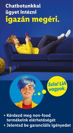 Lidl akciós újság hét 40 Oldal 25