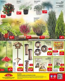 Zimmermann Prospekt woche 40 Seite 12