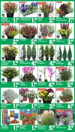 Wreesmann Prospekt woche 40 Seite 3
