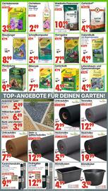 Wreesmann Prospekt woche 40 Seite 5
