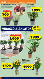 ALDI akciós újság hét 40 Oldal 26