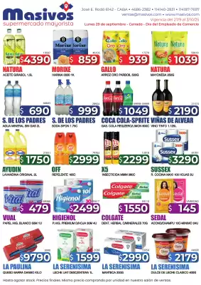 Catálogo Masivos (válido hasta 3-10)