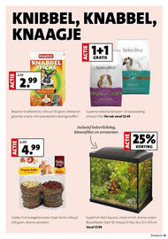 Intratuin folder week 40 Pagina 11