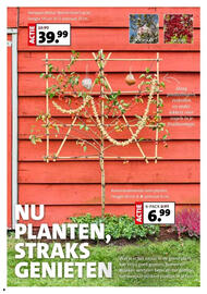Intratuin folder week 40 Pagina 4