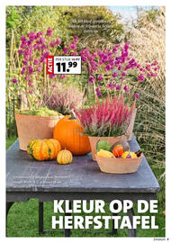 Intratuin folder week 40 Pagina 7