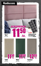Hornbach folder Pagina 42