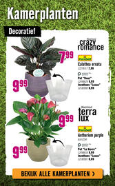 Hornbach folder Pagina 80