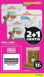 Ranzijn folder week 40 Pagina 8